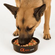 Alpha Spirit Real Food Estofado de Cerdo para Perros - 280g