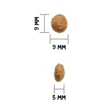 Ownat Author GF Cordero y Cerdo Fresco – Pienso Sin Cereales para Perros 3kg y 10kg | supienso.com