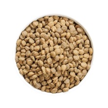 Ownat Author GF Cordero y Cerdo Fresco – Pienso Sin Cereales para Perros 3kg y 10kg | supienso.com