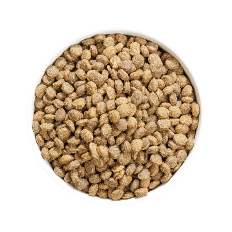 Ownat Author GF Cordero y Cerdo Fresco – Pienso Sin Cereales para Perros 3kg y 10kg | supienso.com