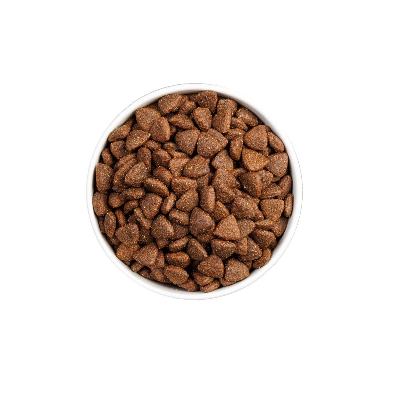 Ownat Classic Monoproteico Cerdo Ibérico – Pienso Completo para Perros 4kg y 12kg | supienso.com