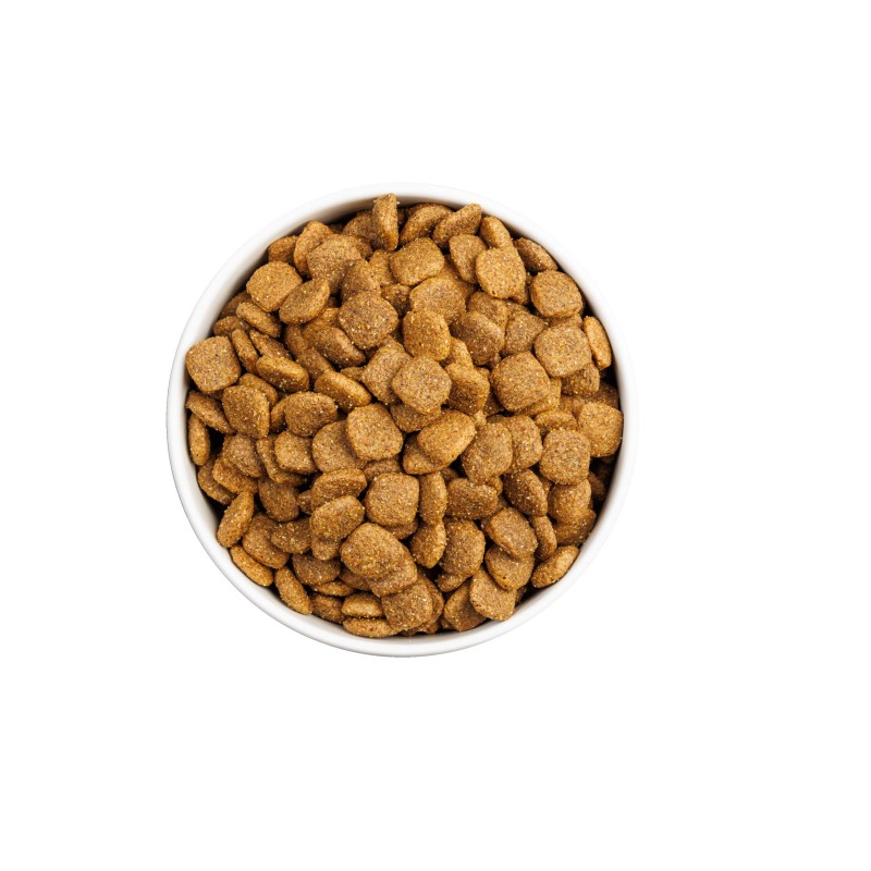 Ownat Classic Monoproteico Cordero – Pienso Completo para Perros 4kg y 12kg | supienso.com
