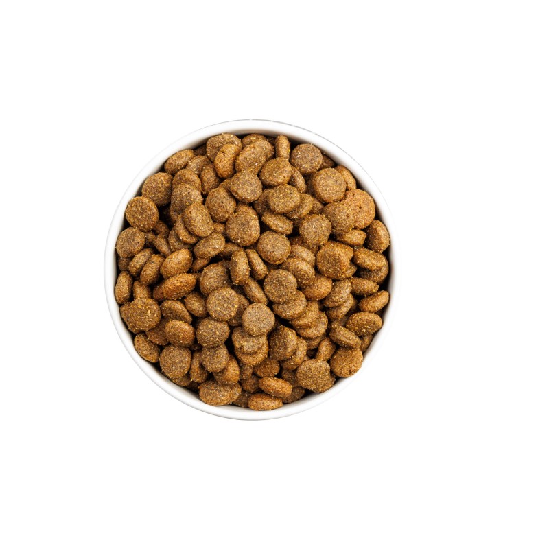 Ownat Classic Monoproteico Salmón – Pienso Completo para Perros 4kg y 12kg | supienso.com