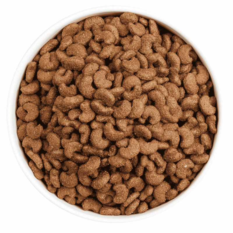 Ownat Care Urinary Gatos – Pienso Especial para Salud Urinaria 1,5kg y 3kg | supienso.com