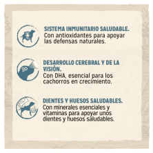 Purina Dog Chow Cachorros Pollo – Pienso para Perros Cachorros 2,5kg y 14kg | supienso.com
