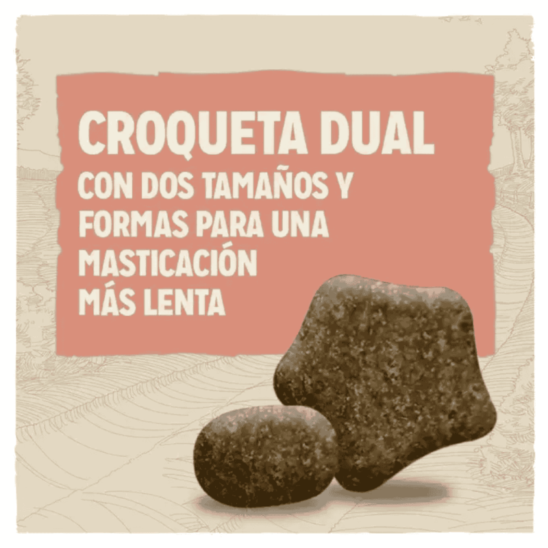 Purina Dog Chow Adulto Sensitive Salmón 2.5 kg y 14 kg | Pienso Natural para Perros Adultos Sensibles | supienso.com