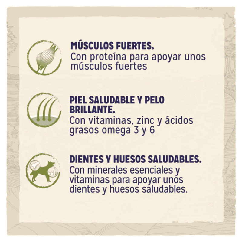 Purina Dog Chow Adulto Cordero 2,5 kg y 14 kg | Pienso Natural para Perros Adultos | supienso.com