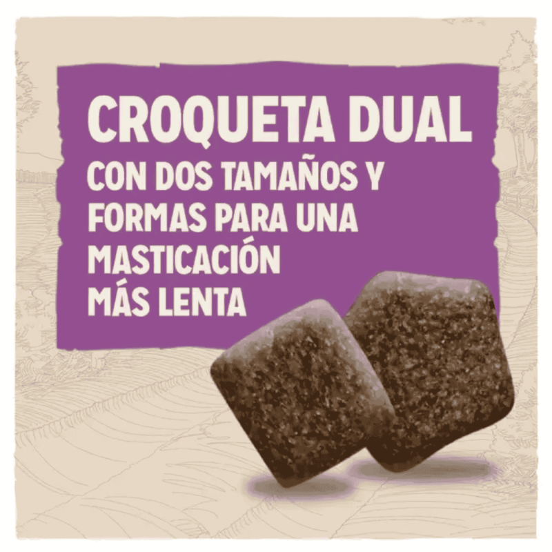 Purina DOG CHOW Senior Pollo 14 kg | Pienso para Perros Mayores | supienso.com