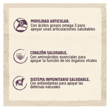 Purina DOG CHOW Senior Pollo 14 kg | Pienso para Perros Mayores | supienso.com