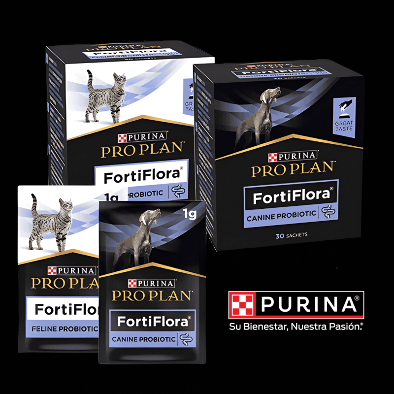PRO PLAN FortiFlora Gatos: Probiótico para Diarrea | Supienso