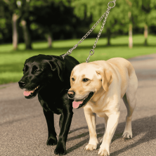Acoplador 2 Vías Metal para Perros: Pasea a Dos Sin Enredos