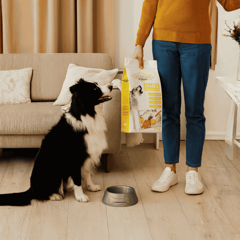Comprar Pienso Carnívoro Daily 12 Kg Barato para Perros Adultos - Supienso