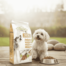 Pienso Carnívoro Mini – Alimento Premium para Perros Pequeños 🐾