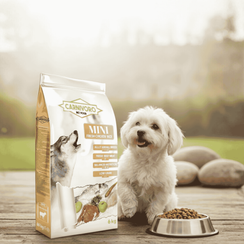 Pienso Carnívoro Mini – Alimento Premium para Perros Pequeños 🐾