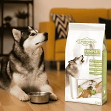 Pienso Carnivoro Complet – Alimentación completa para perros adultos 🐾