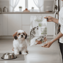 Pienso Carnivoro Complet – Alimentación completa para perros adultos 🐾
