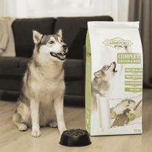 Pienso Carnivoro Complet – Alimentación completa para perros adultos 🐾