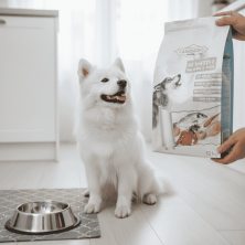 Pienso Carnivoro Sensitive – Alimentación para perros sensibles 🐾