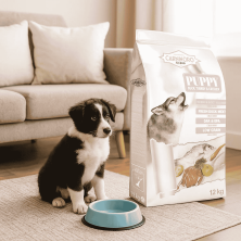 Carnivoro Puppy y Madres – Alimentación completa para cachorros 🐾