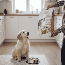 Carnivoro Puppy y Madres – Alimentación completa para cachorros 🐾