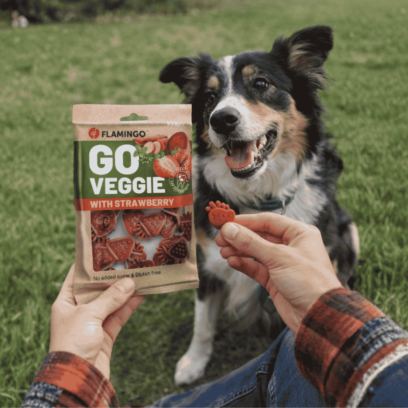 Golosina Veggie Fresa para Perros Flamingo 120g | Snack Natural y Saludable