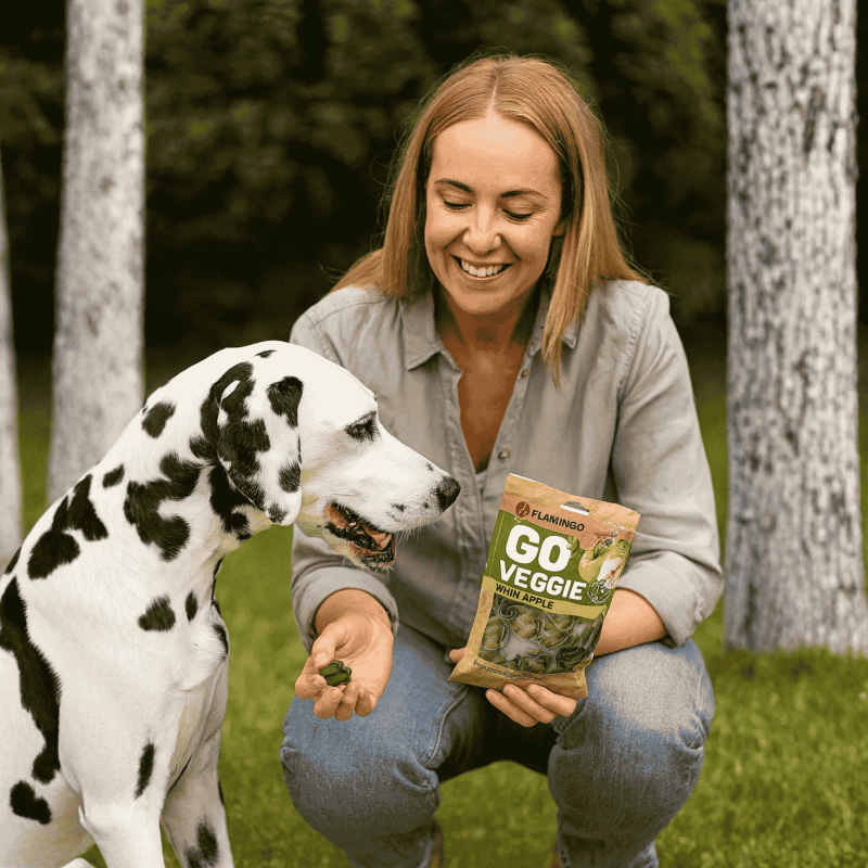 Golosina Veggie Manzana para Perros Flamingo 120g | Snack Natural Sin Gluten