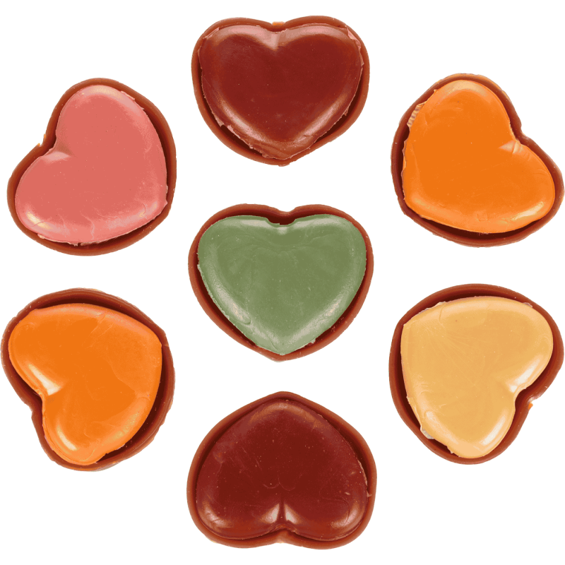 Bombones para Perro Romé Pralinés Flamingo | 7 uds. Mezcla