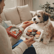 Bombones para Perro Romé Pralinés Flamingo | 7 uds. Mezcla