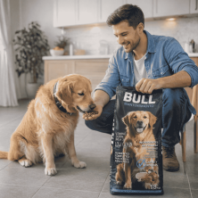 Pienso Bull Mantenimiento 18kg | Alimento para Perros Adultos