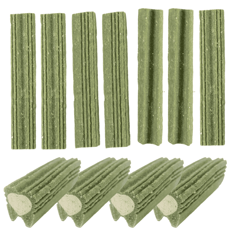 DuvoPlus Chew! Barritas Dentales Menta | Snack Dental Aliento Fresco Perros