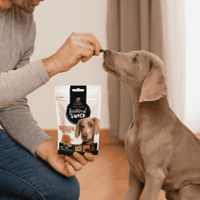 ERA Training Snacks Salmón y Caléndula 150g | Refuerzo Inmunitario Cachorros