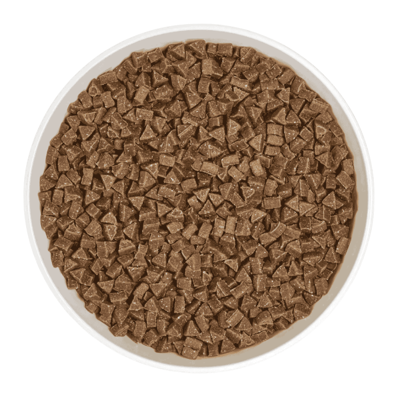 ERA Training Snacks Salmón y Caléndula 150g | Refuerzo Inmunitario Cachorros