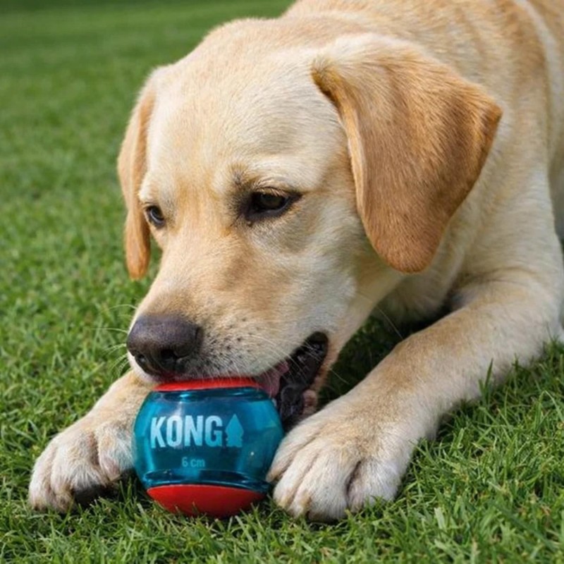 KONG Squeezz Action Ball 6 cm | Pack 3 pelotas resistentes