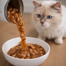 Lata Bocaditos en Salsa con Atún 415g | Alimento Húmedo para Gatos