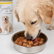 Lata Bocaditos en Salsa con Pollo 1.230g | Alimento Húmedo para Perros