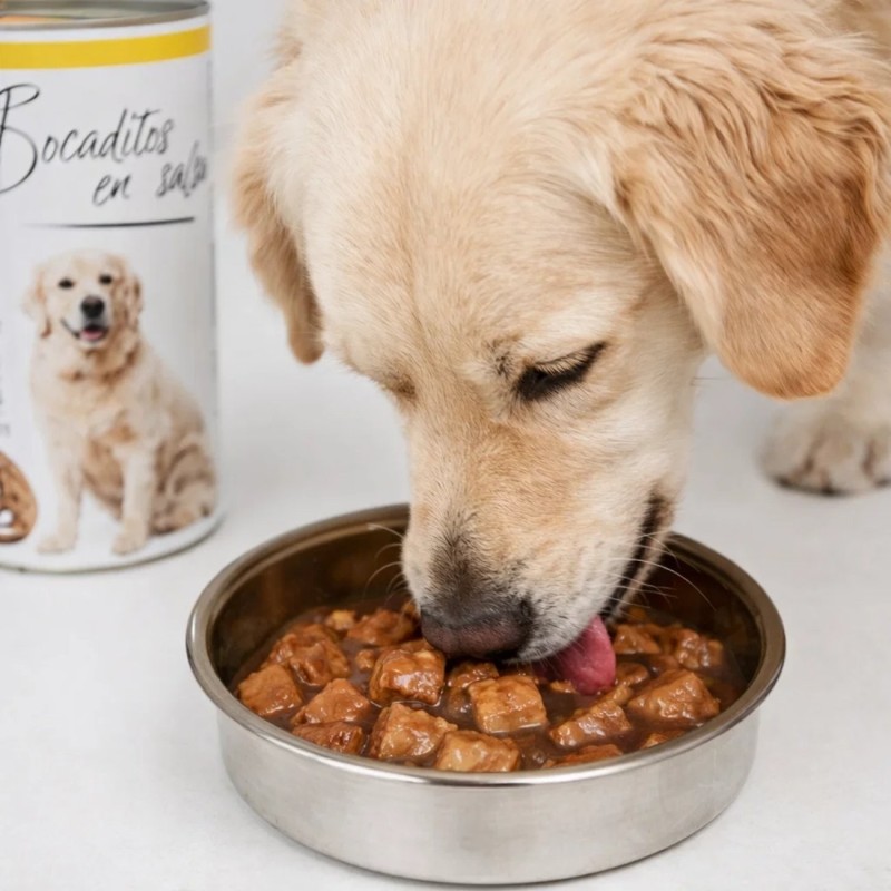 Pack 10 Latas Perro 1.230g | 5 Pollo + 5 Buey | Ahorro y Variedad