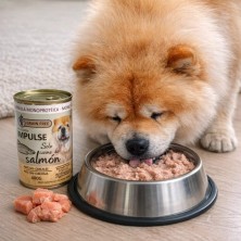 Impulse Salmón 97% | Comida Húmeda Monoprotéica para Perros