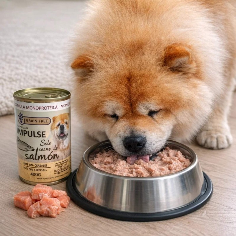 Impulse Salmón 97% | Comida Húmeda Monoprotéica para Perros