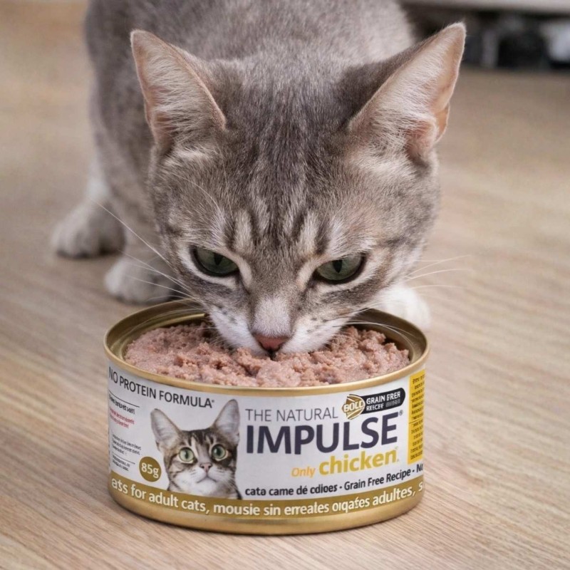 Impulse Gatos Pollo 85g | Comida Húmeda Natural y Sin Cereales