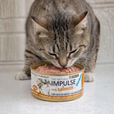 Impulse Salmón Gatos Esterilizados | Dieta de Eliminación