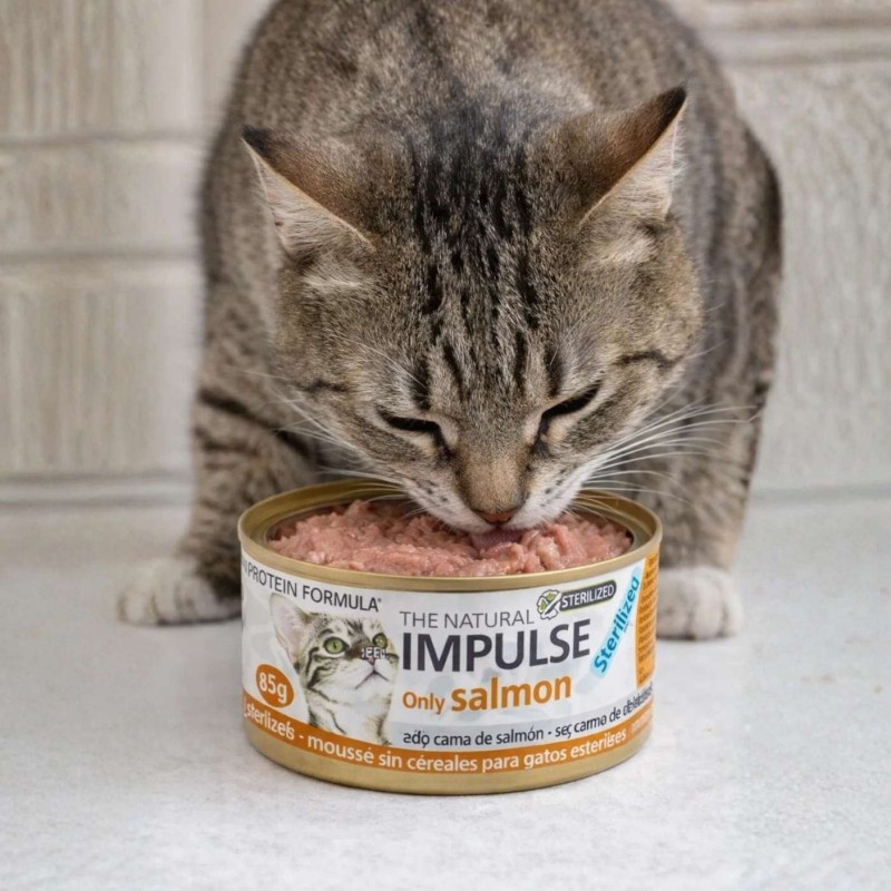 Impulse Salmón Gatos Esterilizados | Dieta de Eliminación