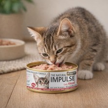 Impulse Ternera Gatos | Dieta de Eliminación y Exclusión