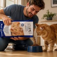 Tam Cat Gourmet 3 kg | Pienso para Gatos con Pollo, Arroz y Taurina