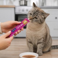 Snack Líquido Vitakraft Cat Drink Gatos | Bebida Hidratante con Taurina