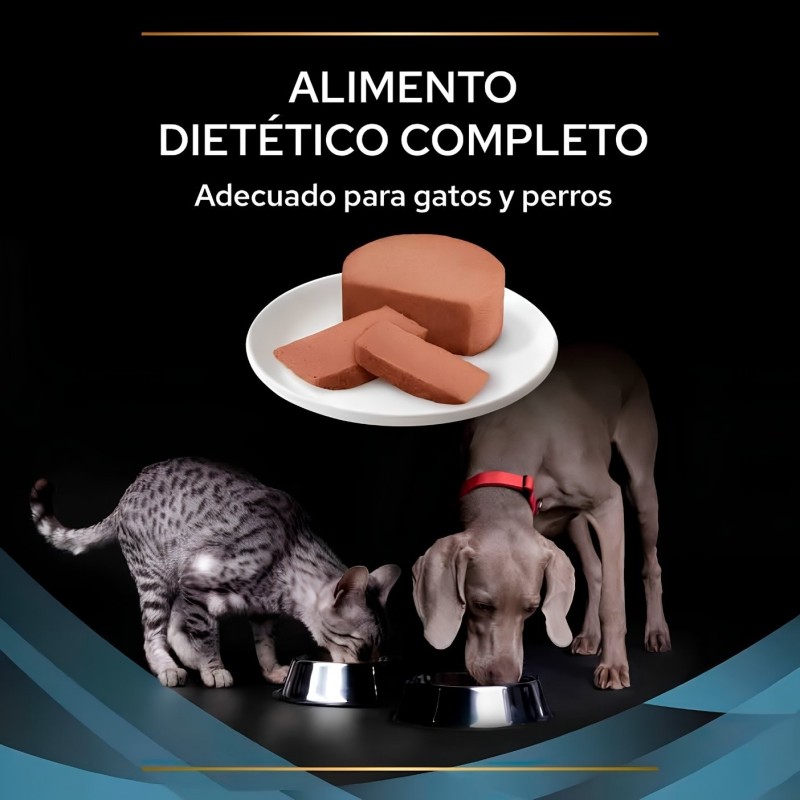 Purina Pro Plan CN Convalescence 195g | Alimento Húmedo de Recuperación Perros y Gatos
