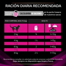 Purina Pro Plan Feline UR Urinary Mousse 195g | Alimento Húmedo para Gatos