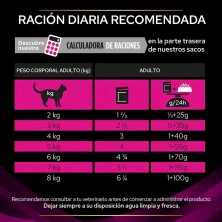 Purina Pro Plan Feline UR Urinary Salmón 10x85g | Comida Húmeda Gatos