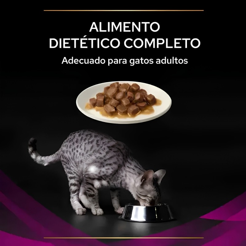Purina Pro Plan Feline UR Urinary Pollo 10x85g | Comida Húmeda Gatos
