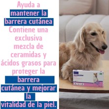 Virbac Allerderm Spot-On | Pipetas para la Piel de Perros y Gatos