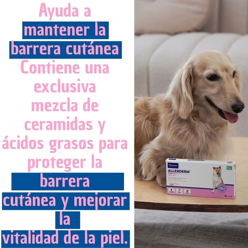 Virbac Allerderm Spot-On | Pipetas para la Piel de Perros y Gatos
